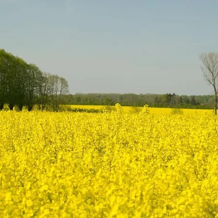 Jessen Right Modern Retreat Gelting