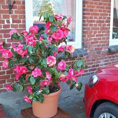 Jessen Right Modern Retreat *